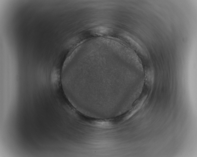 X0000101440284200807211219