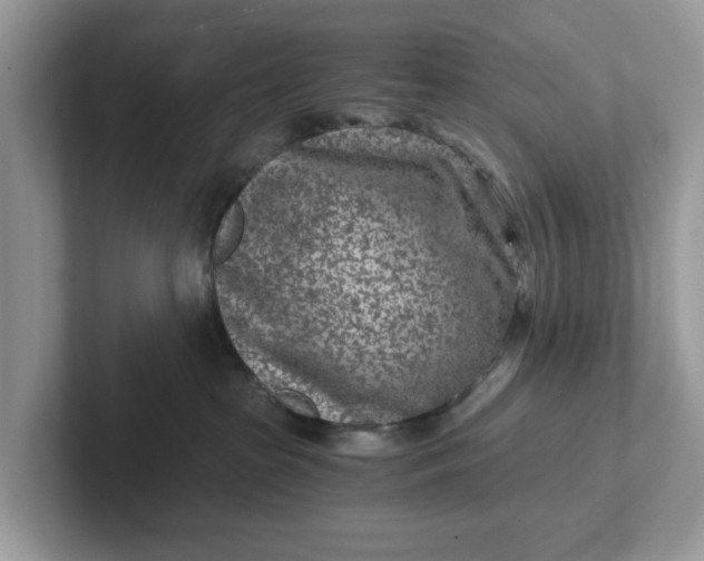 X0000101440285200807211219