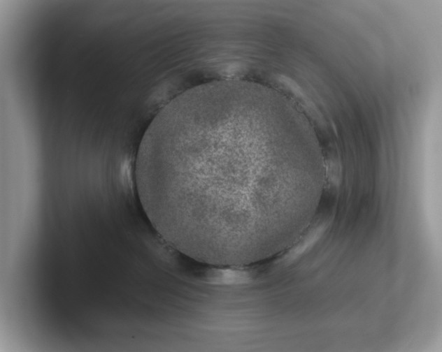 X0000101440286200807211219