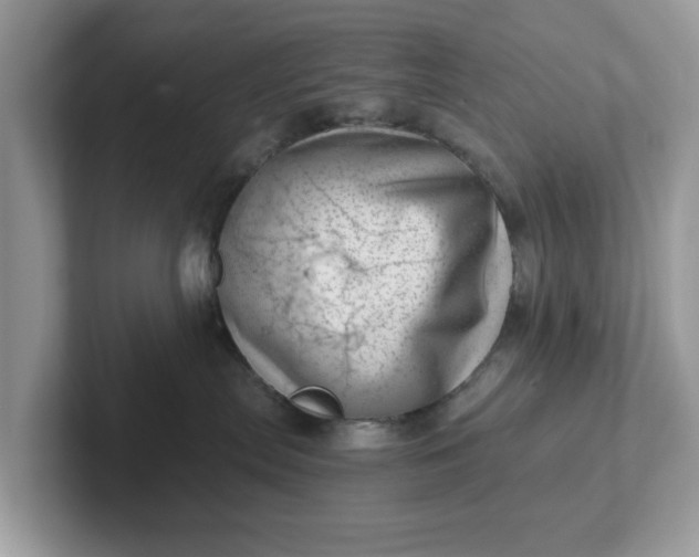 X0000101440287200807211219