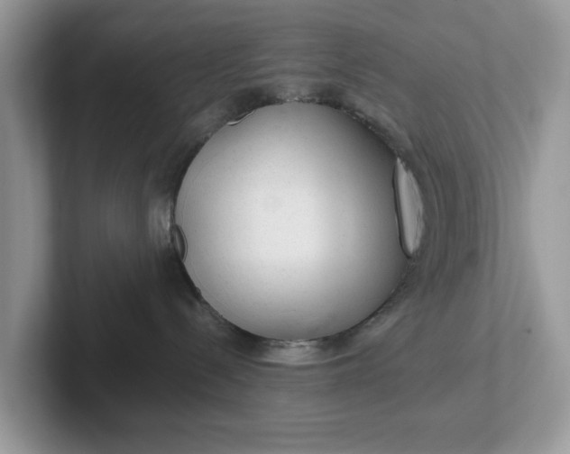 X0000101440288200807211219