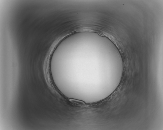 X0000101440289200807211218