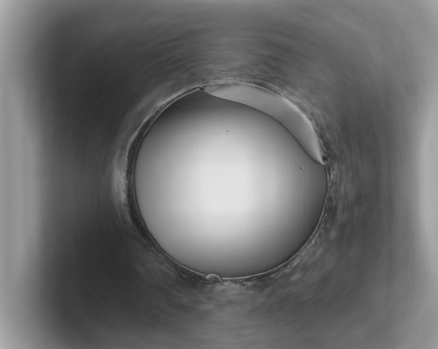 X0000101440290200807211218