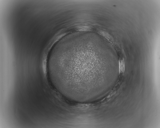 X0000101440291200807211218