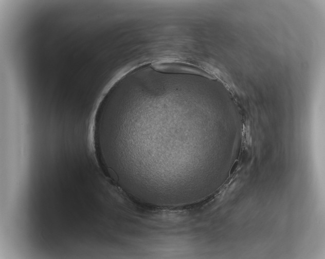 X0000101440292200807211218