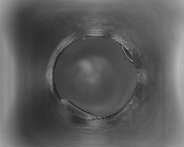 X0000101440293200807211218