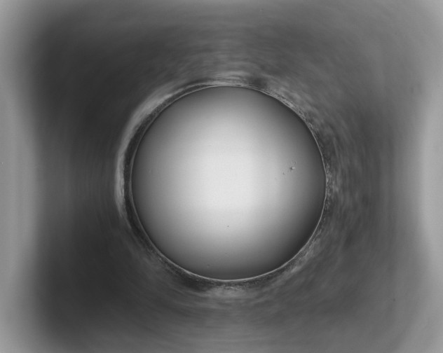 X0000101440294200807211218