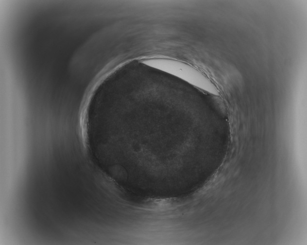 X0000101440295200807211218