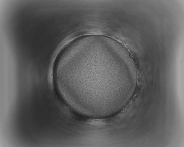 X0000101440296200807211218