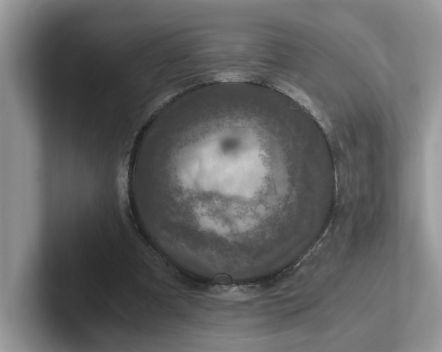 X0000101440297200807211218