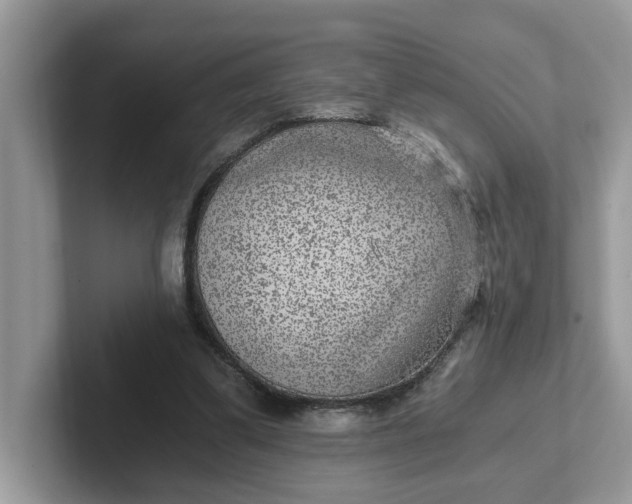 X0000101440299200807211218