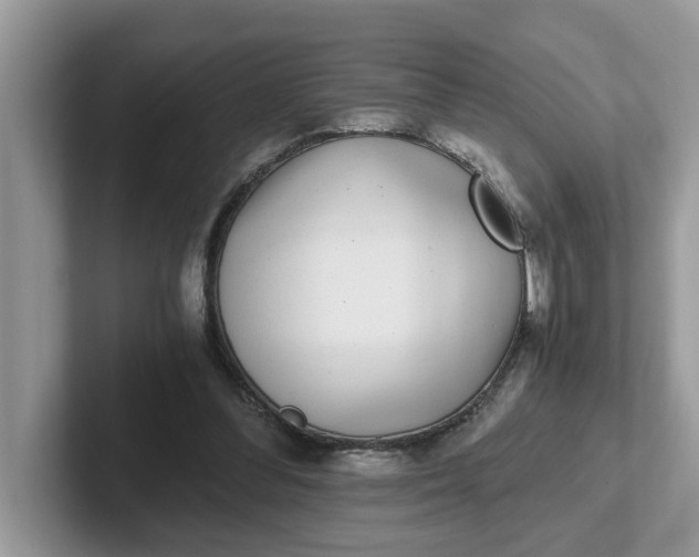 X0000101440300200807211218