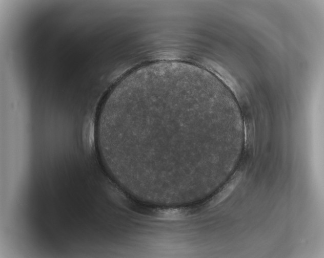 X0000101440301200807211218