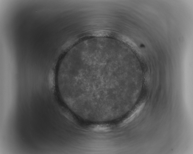 X0000101440303200807211218