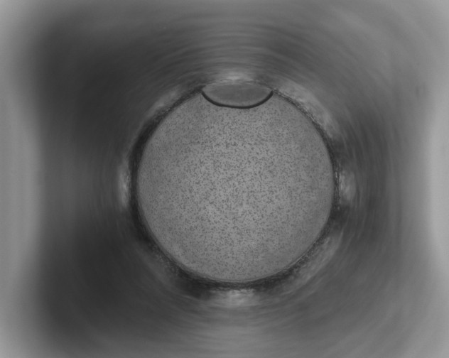 X0000101440304200807211218