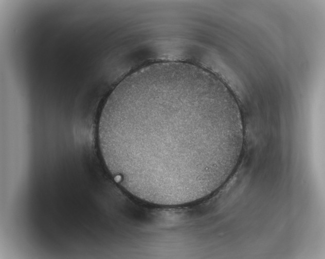 X0000101440305200807211218