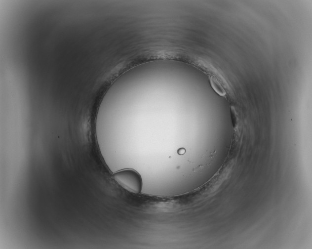 X0000101440306200807211218