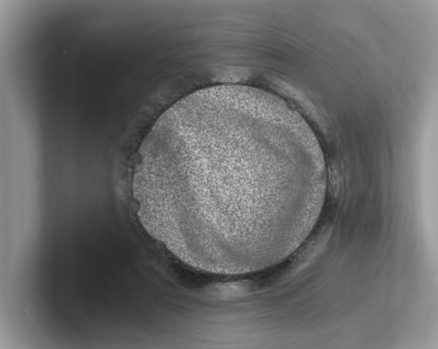 X0000101440307200807211218