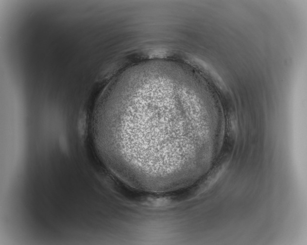 X0000101440311200807211218