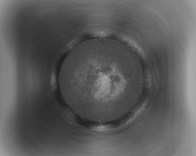 X0000101440312200807211218