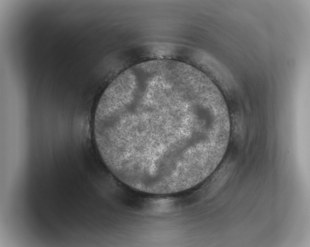 X0000101440313200807211218