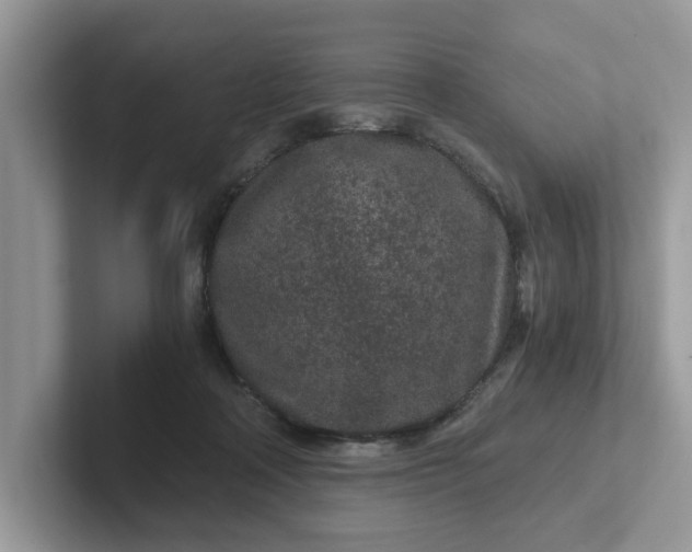 X0000101440314200807211218