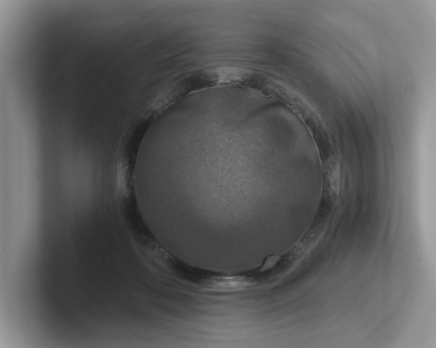 X0000101440316200807211218