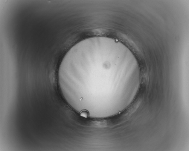 X0000101440317200807211218