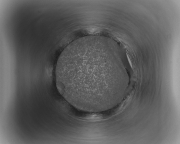 X0000101440319200807211218