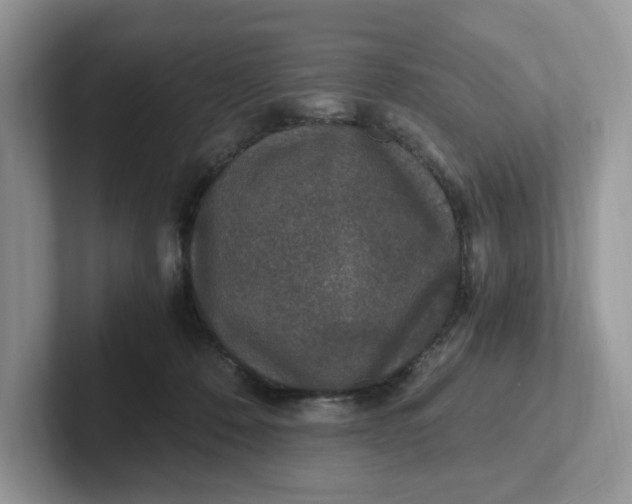 X0000101440320200807211218