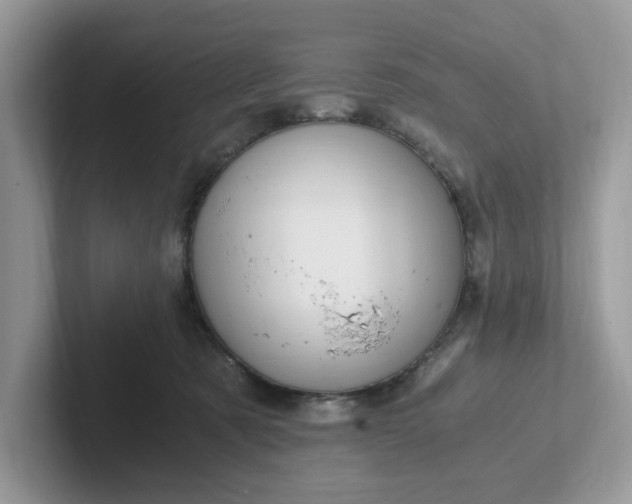 X0000101440321200807211218