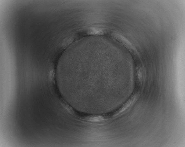 X0000101440322200807211218