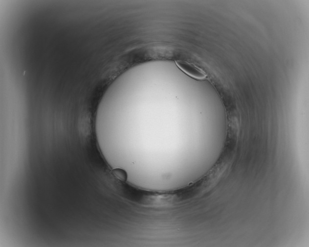 X0000101440323200807211218