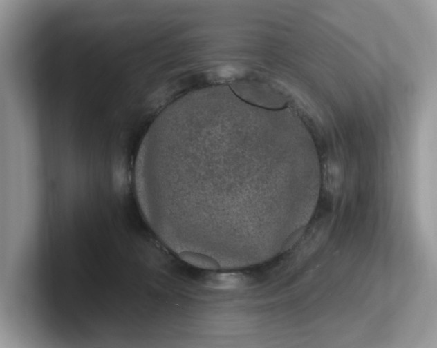 X0000101440324200807211218