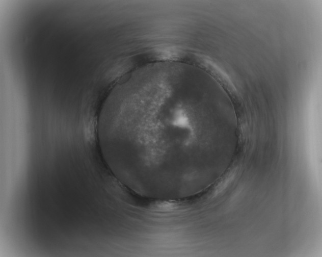 X0000101440325200807211218