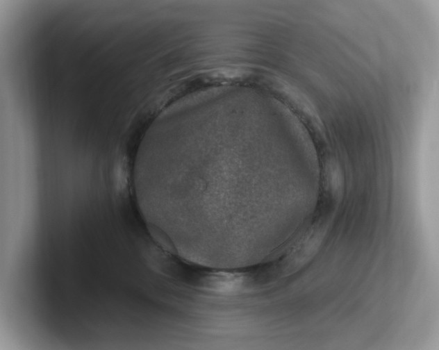 X0000101440328200807211218