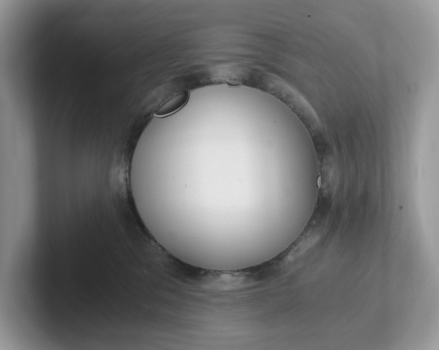 X0000101440329200807211218