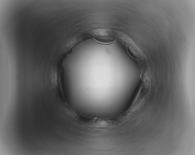 X0000101440330200807211218