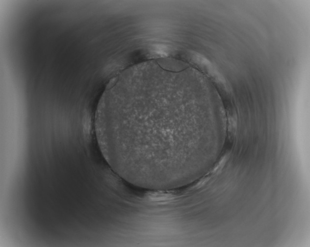 X0000101440331200807211218