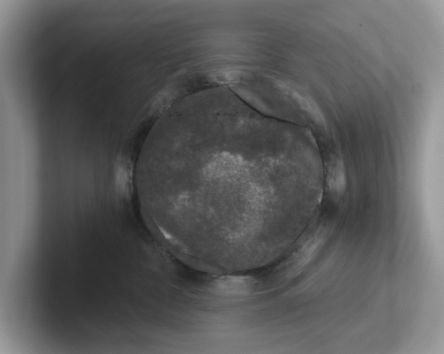 X0000101440332200807211218