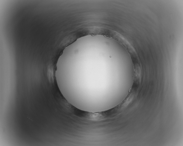 X0000101440333200807211218