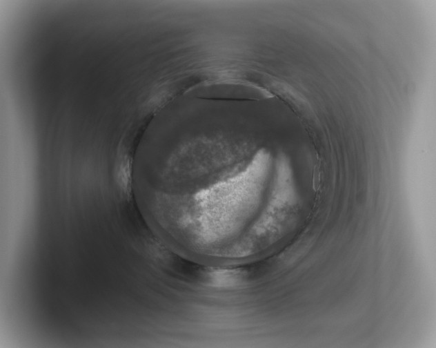 X0000101440336200807211218