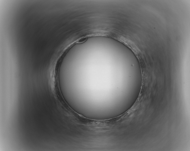 X0000101440338200807211217