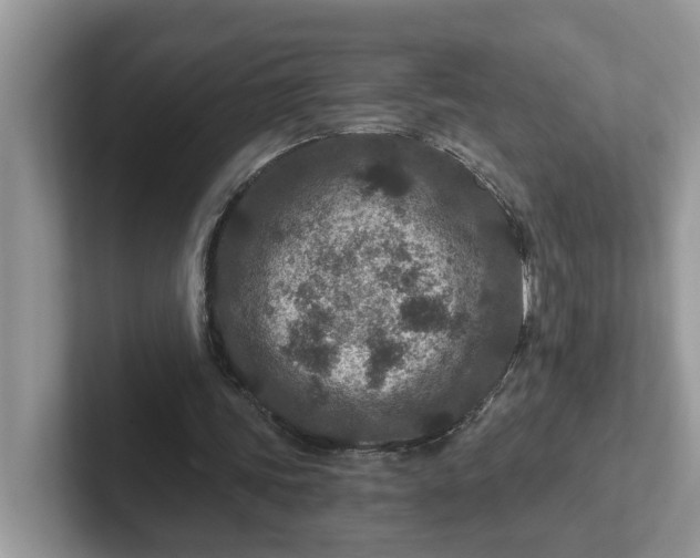 X0000101440339200807211217