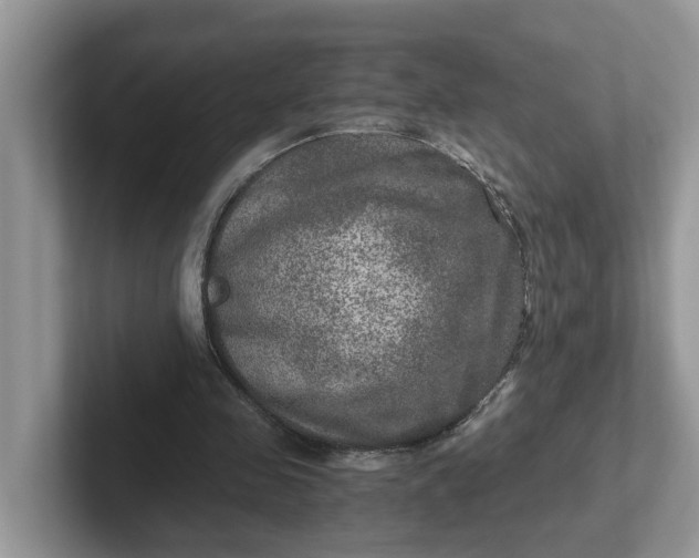 X0000101440341200807211217