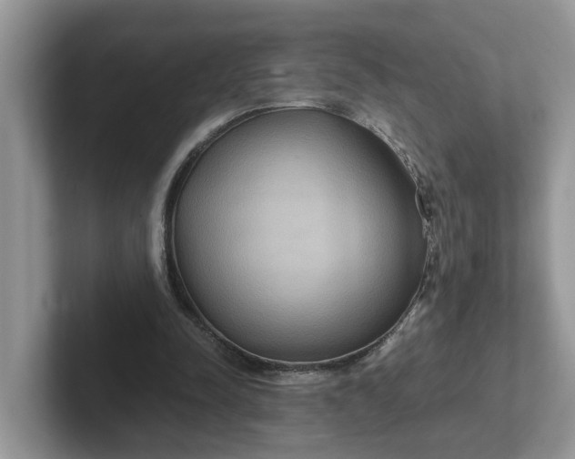 X0000101440342200807211217