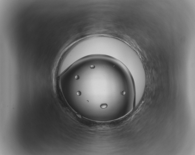 X0000101440344200807211217