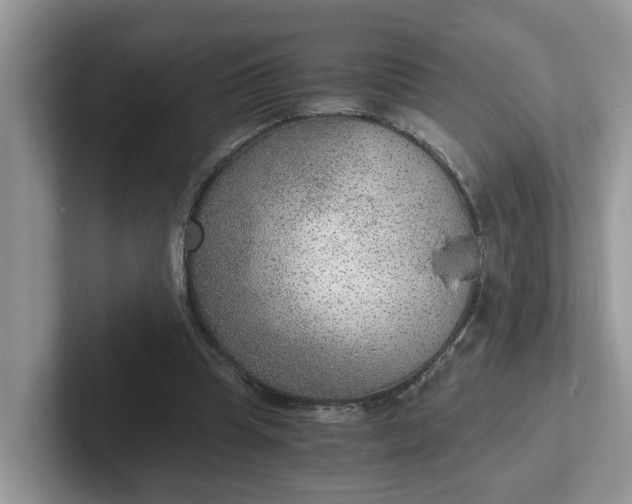 X0000101440345200807211217