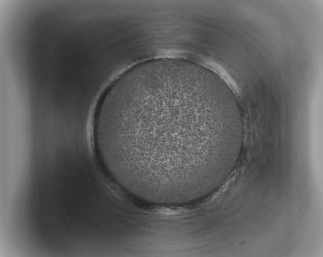 X0000101440346200807211217