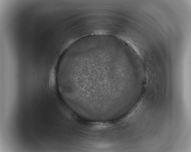 X0000101440347200807211217